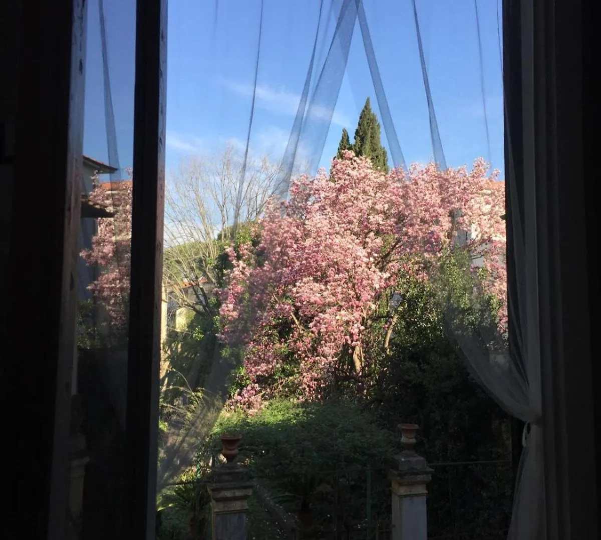 Apartament Il Giardino Di San Lorenzo Piza