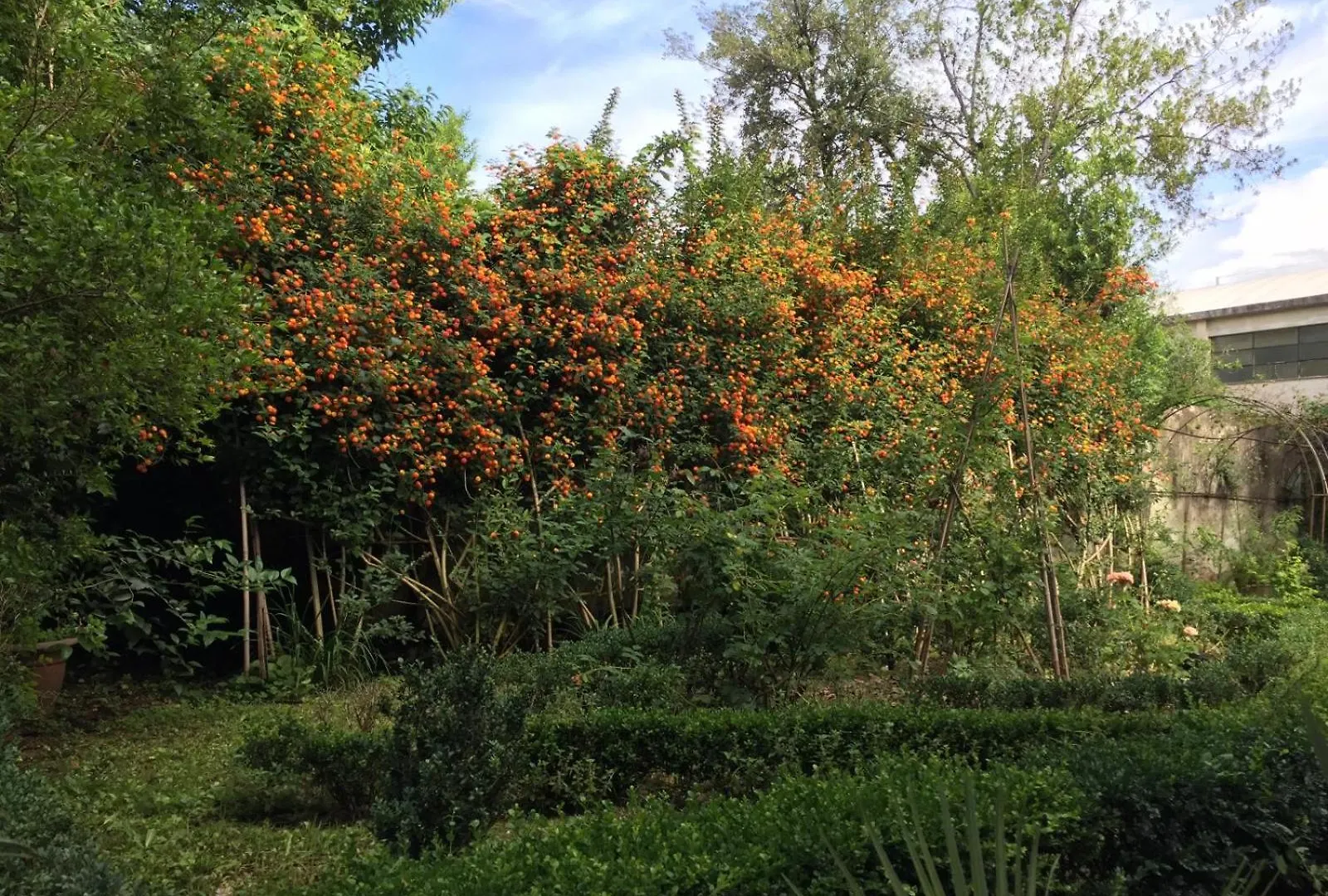 Il Giardino Di San Lorenzo ピサ 0*,  イタリア